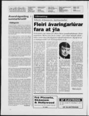 Síða 2