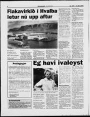 Síða 4