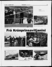 Síða 17