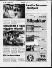 Síða 3