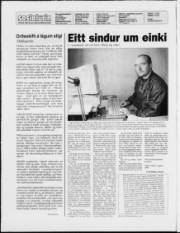 Síða 2