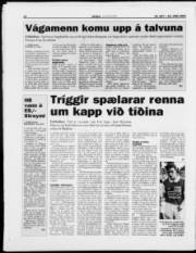 Síða 13