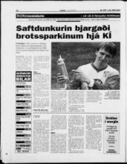 Síða 17