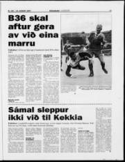 Síða 15