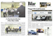 Síða 8