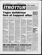 Síða 7