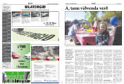 Síða 10