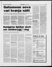 Síða 15