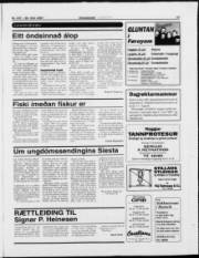 Síða 17