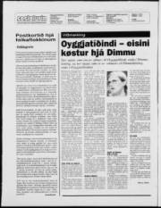 Síða 2