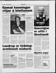 Síða 13