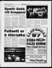 Síða 3