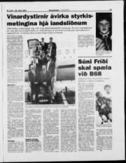 Síða 13