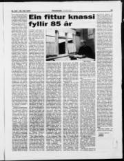 Síða 15