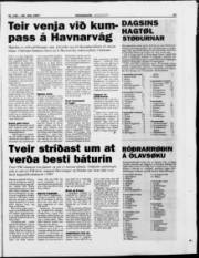 Síða 21