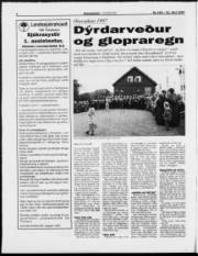 Síða 4