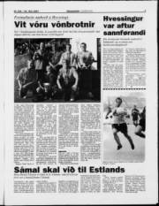 Síða 7