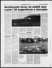 Síða 8