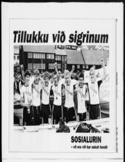 Síða 12