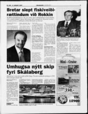 Síða 3