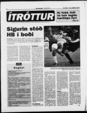 Síða 8