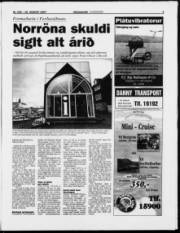 Síða 3