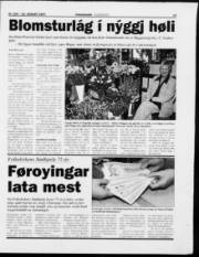 Síða 17