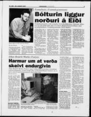 Síða 5
