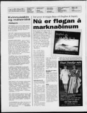 Síða 2