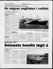 Síða 9