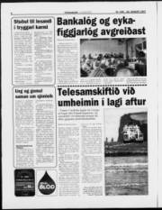 Síða 8
