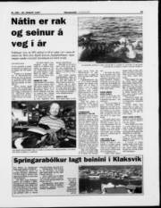 Síða 13