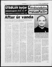 Síða 8