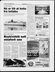 Síða 3