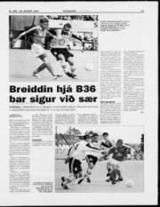 Síða 13
