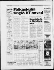 Síða 20