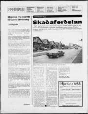 Síða 2