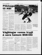 Síða 13