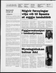 Síða 2