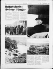 Síða 18