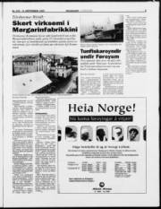 Síða 3