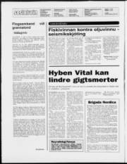 Síða 2