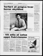 Síða 5
