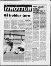 Síða 11