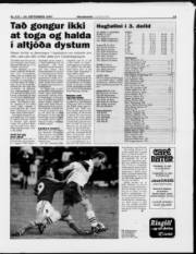 Síða 13