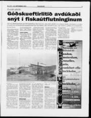 Síða 3