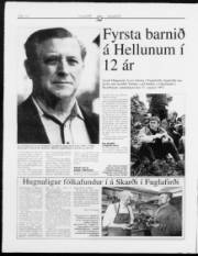 Síða 14
