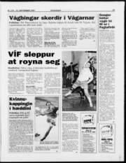 Síða 22