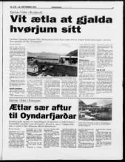Síða 3