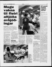 Síða 13